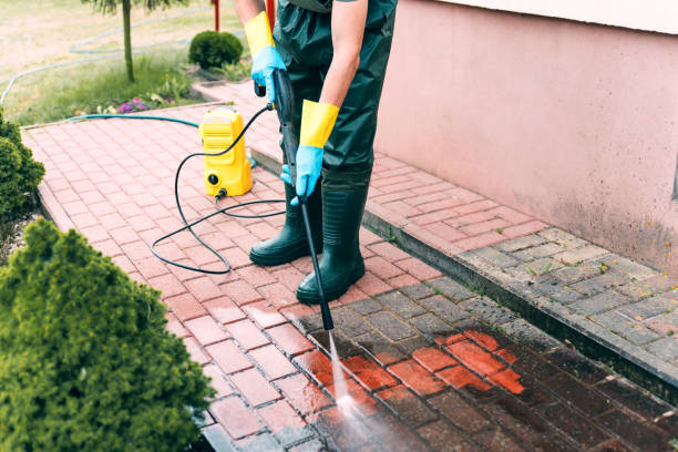 Best Roof Pressure Washing  in Roundup, MT