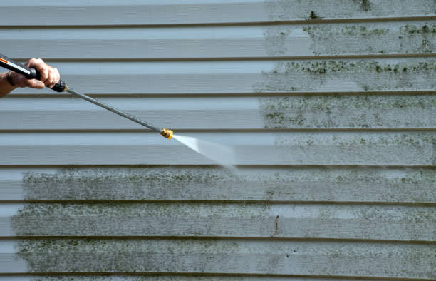 Best Deck Cleaning Services  in Roundup, MT